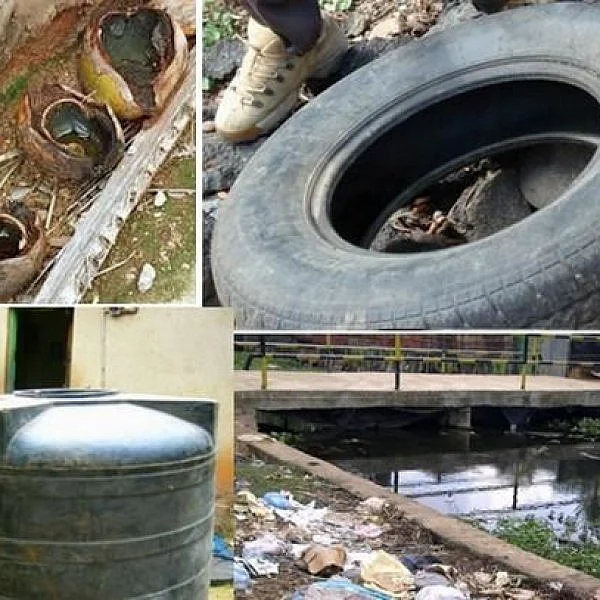கொசு