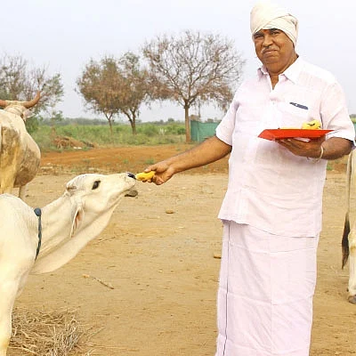 பஞ்சகவ்யா - 4