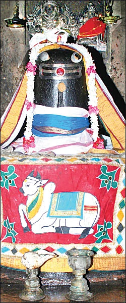 சிவம் தவம் தரிசனம்!