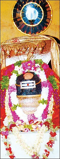 சிவம் தவம் தரிசனம்!