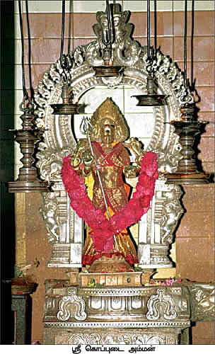 குறை தீர்த்து குலம் காக்கும் கொப்புடை நாயகி!
