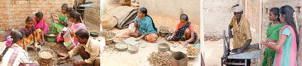 மணக்கும் மருங்கூர் முந்திரி!