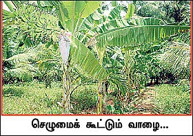 'இயற்கை விவசாய ஜோதி... இனி, உங்களிடம்!'