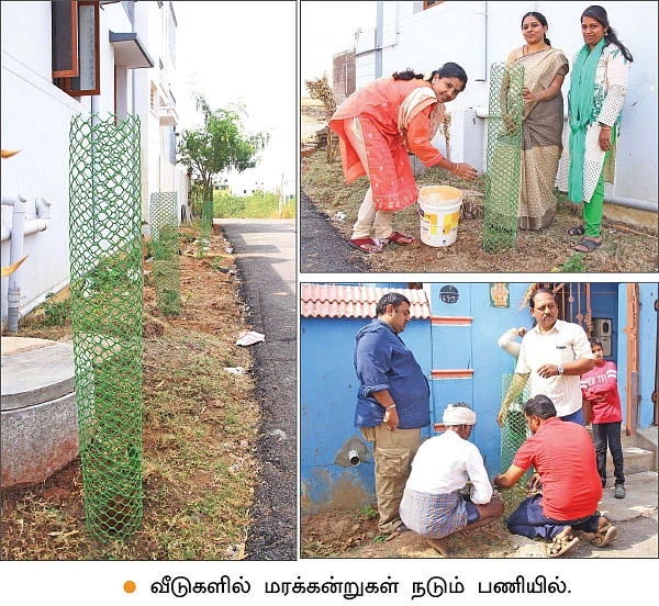 வாட்ஸ்அப் செய்தால் போதும்... வீடுதேடி மரக்கன்றுகள் வரும்!