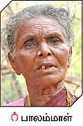 மூங்கில் அரிசி... இயற்கையின் அற்புதக் கொடை!