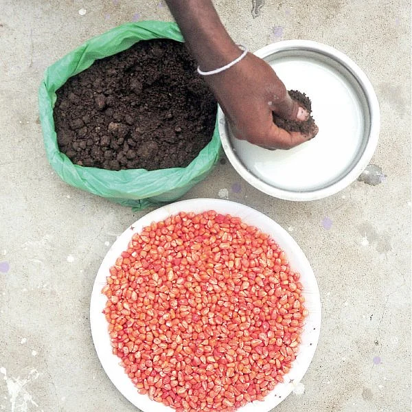 ஒரு கிலோ உயிர் உரம்... 30 கிலோ யூரியாவுக்குச் சமம்! - உதவிக்கு வரும் உயிரியல் - 7