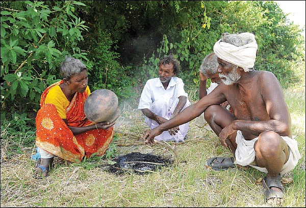 “பாம்பெல்லாம் எனக்கு பச்சப்புள்ள மாதிரி!”