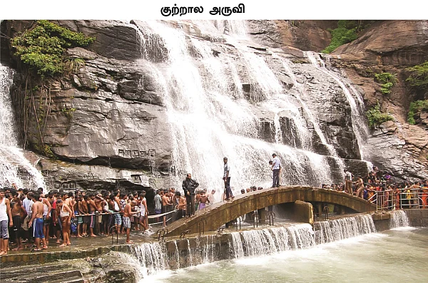 தமிழகம் இன்ஃபோ ஸ்பெஷல் #5 - திருநெல்வேலி 200 - இன்ஃபோ புக்