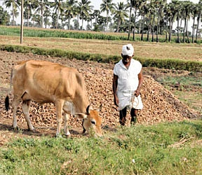 என் ஊர் : ஆறகளூர்
