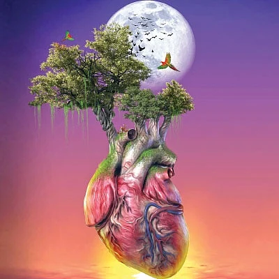 இந்திய வானம் - 26