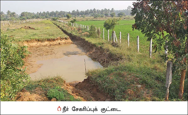 ஏக்கருக்கு ரூ.1 லட்சம் - பலபயிர் சாகுபடியில் ‘பலே’ லாபம்