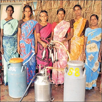 அவள் கிளாஸிக்ஸ்: பால் போல் பொங்கிய வாழ்க்கை! கந்துவட்டியை விரட்டிய `களஞ்சியம்’