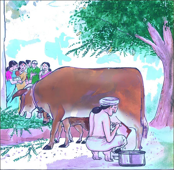 மண்புழு மன்னாரு: அகத்திக்கீரையும், நாட்டு மாடும் செய்த அற்புதம்!