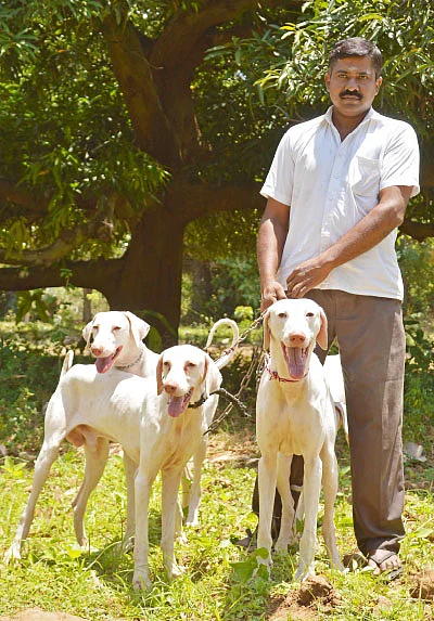 என் செல்லமே...