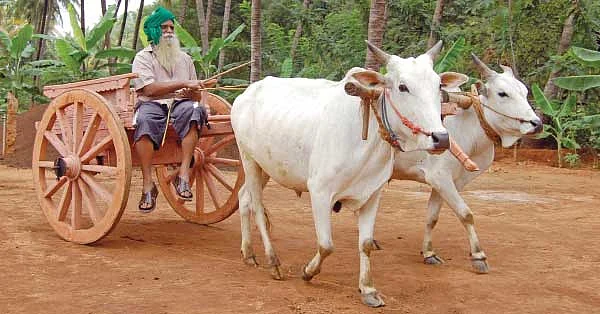 தமிழ் நிலத்தின் தாய் விதை: இயற்கை விஞ்ஞானி நம்மாழ்வார் பிறந்த தின சிறப்பு பகிர்வு!