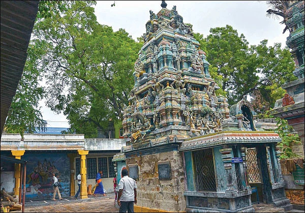 செவ்வரளிச் செடியில் தோன்றிய சிதம்பரேஸ்வரர்