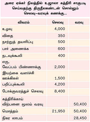 உன்னத வருமானத்துக்கு ‘உஜாலா’...