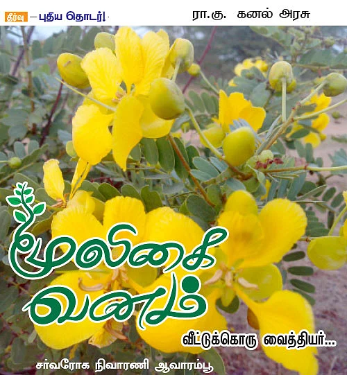 மூலிகை வனம்