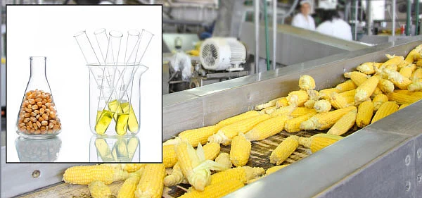 உணவின்றி அமையாது உலகு - 17