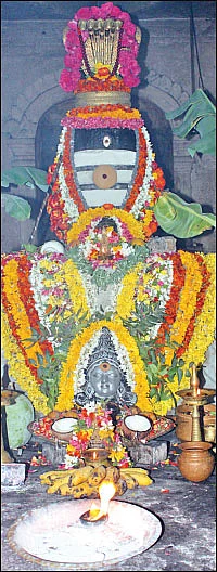 சிவம் தவம் தரிசனம்!