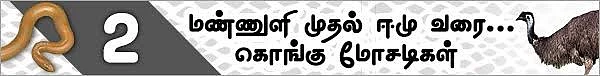 மண்ணுளி முதல் ஈமு வரை! (மிரள வைக்கும் கொங்கு மோசடிகள் - 11)