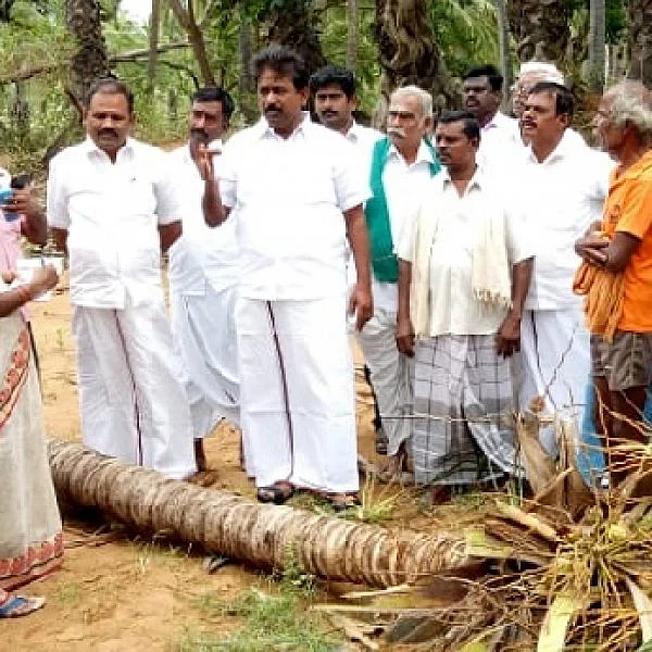 தென்னைக்கு ரூ.40,000 இழப்பீடு வழங்க வேண்டும்: கோரிக்கை வைக்கும் எம்.எல்.ஏ