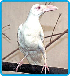 பென்டிரைவ்