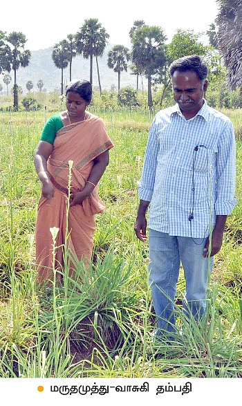 தினம் தினம் பணம்... சம்பங்கி... சாமானியனின் வங்கி!