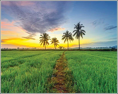 ராகு - கேது பெயர்ச்சி பொதுப்பலன்கள்