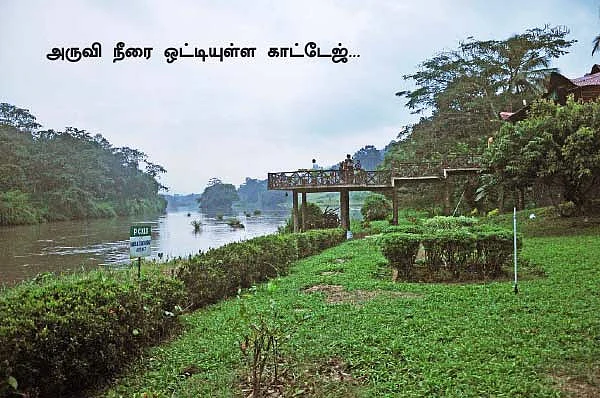நெருப்பில்லாமல் புகையும் அதிரப்பள்ளி!
