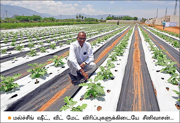 காய்கறிச் சாகுபடியில் நவீனத் தொழில்நுட்பம்...
