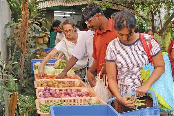 From farmer's land to vegetable market... Must know info about agri supply chain..! - Part 19