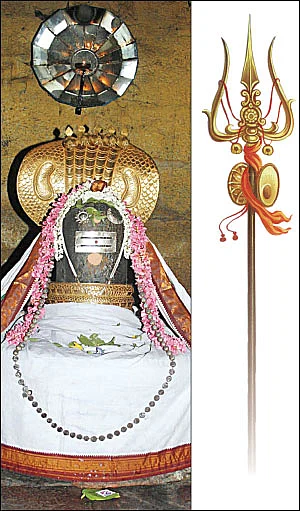 சிவம் தவம் தரிசனம்!