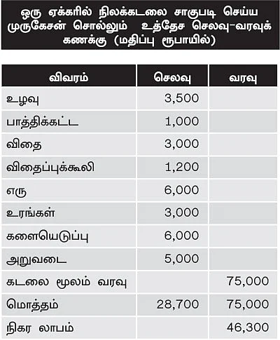 ஆடியில் விதைத்தால், நிலக்கடலைக்கு நல்ல விலை!