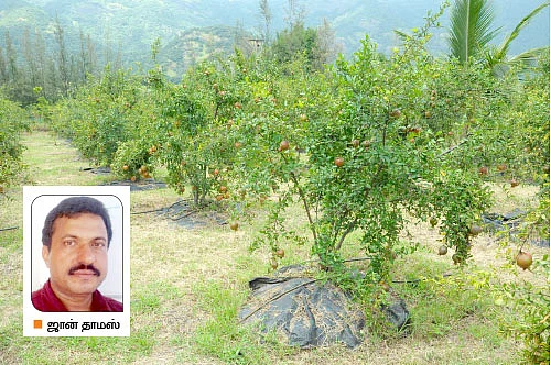 ஏக்கருக்கு 2.5 லட்சம்...
