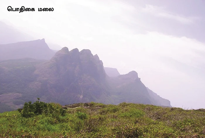 தமிழகம் இன்ஃபோ ஸ்பெஷல் #5 - திருநெல்வேலி 200 - இன்ஃபோ புக்