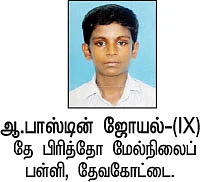 க்யூட் ஸ்டோரி