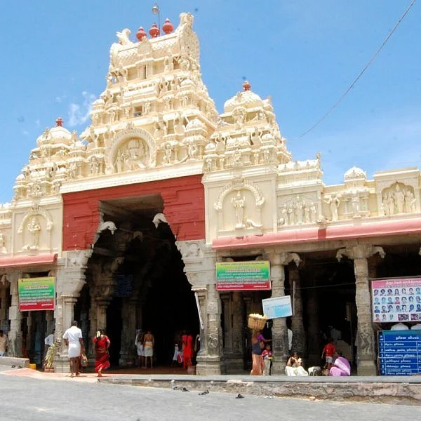 திருச்செந்தூரில் வரும் மே 28-ல் வைகாசி விசாகத் திருவிழா - 3 நாள்கள் பூஜை நேரம் மாற்றம்