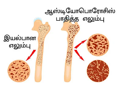 ஹெல்த் காலண்டர்