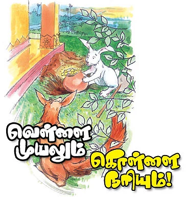 வெள்ளை முயலும் கொள்ளை நரியும் !