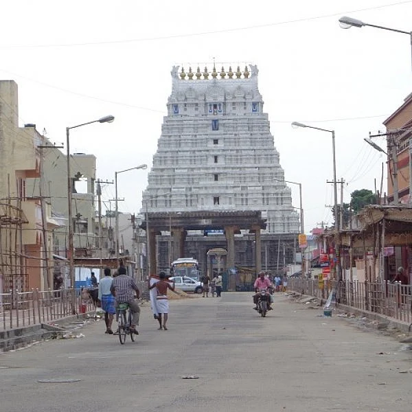 மந்தார இலையின் வாசம்.. 15-ம் நூற்றாண்டின் ருசி! - கம கம காஞ்சிபுரம் கோயில் இட்லி #MyVikatan