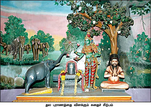 தேவாரத் திருவுலா!
