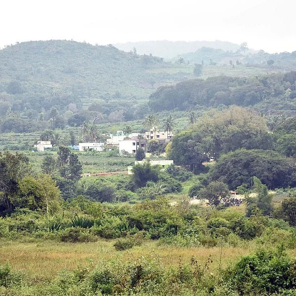 துறையூர் பச்சமலை