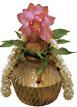 வீட்டிலேயே செய்ய சின்னச் சின்ன வழிபாடுகள்-35