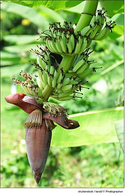 சித்த மருத்துவம் சிறப்பான தீர்வு