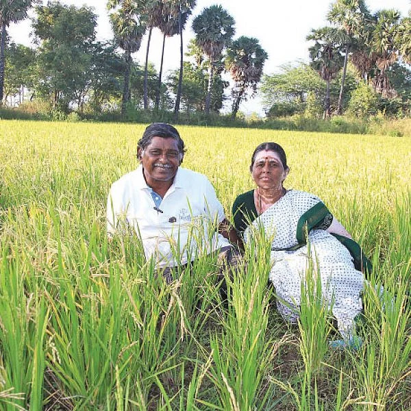 ஓய்வுபெற்ற ஆசிரியர்களின் ஒப்பற்ற விவசாயம்!