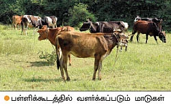 இயற்கை வேளாண்மையோடு, இனிய கல்வியும் இங்கே இலவசம்!