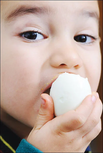 முட்டை ‘Eggs’ clusive தகவல்கள்