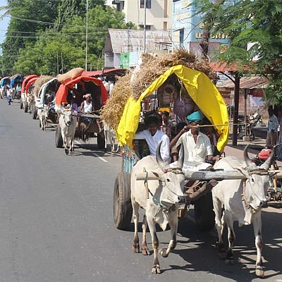 மாட்டு வண்டி பூட்டிக்கிட்டு ரங்கநாதர் தரிசனம்... மலைக்க வைக்கும் பக்தர்கள்! ( வீடியோ)