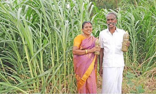 பஞ்சகவ்யா - 10